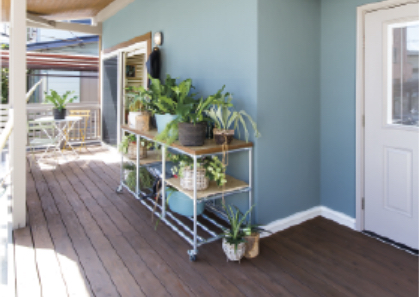 monicaイメージ写真